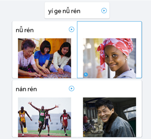 activating a second language in rosetta stone pc